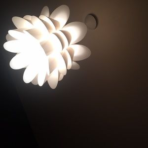 Meet your Posher, Alejandro